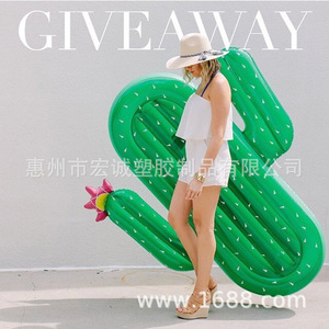 Inflatable Cactus Floating Bed 180X140Cm PVC Adult Swim Float Pool Raft - Product Image 2