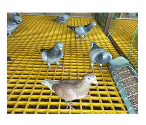 Passerelle FRP Grilles de sol en fibre de verre pour Pigeon Lofts - Product Image 1