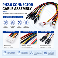Kabel Adaptor Custom PH2.0 ke DuPont 2.54mm 2 3 4 5 6 Pin Kabel Harness Jumper Kabel Uji untuk Elektronik