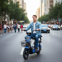 Vélo électrique de ville 48V 350W, vélo électrique adulte de longue portée de 35 à 40KM avec batterie au plomb et affichage numérique