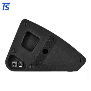 Altavoz Pasivo C15 de 15 Pulgadas para Prácticas de Bandas de Marcha Profesionales o Conciertos a Gran Escala - Product Image 3