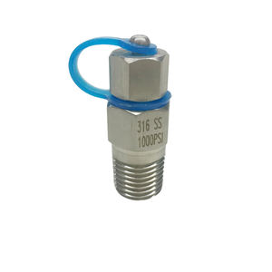 Paslanmaz Çelik 316/304 4 İnç NPT BSPT Manuel Basınç ve Sıcaklık Bağlayıcı Test Fişi, 1000 psi'ye kadar - Product Image 2