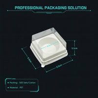 Vierkante transparante PET mini taartdoos witte ronde insert plastic verpakking dessert afhaalverpakking aangepaste sticker label beschikbaar