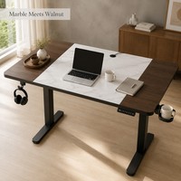 Bureau de jeu AOR Home Gaming, bureau surélevé, bureau d'apprentissage, design moderne, plateau en métal et bois, couleurs personnalisables, ROSE, extensible