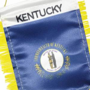 Custom Logo KENTUCKY Pennant <b>Flag</b> With Digital Printing for Car Rearview Mirror and Home Decoration - Product Image 3
