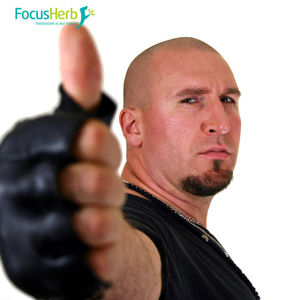 Poudre d'extrait de Tongkat Ali pur et biologique en gros 10:1, poudre d'extrait de racine de Tongkat Ali - Product Image 4