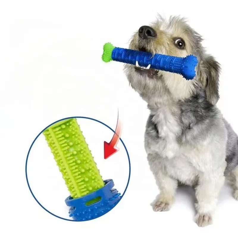 Großhandel Haustier Zähne Reinigung Zahn hygiene Knochen form Gummi Hund Zahnbürste Kau spielzeug