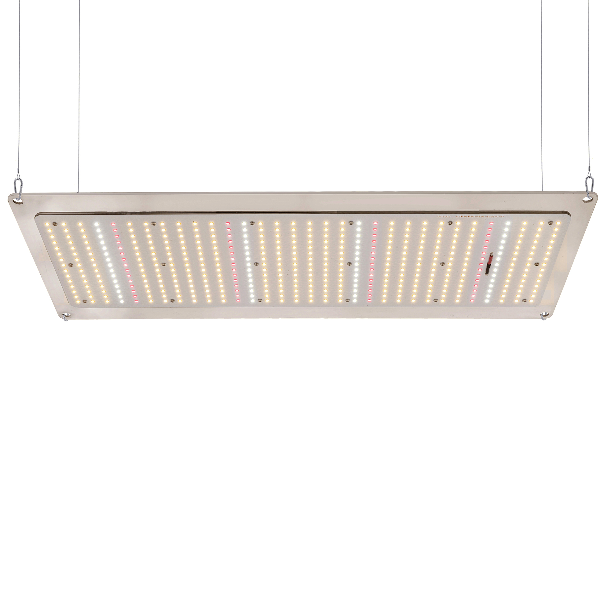 Quantique D'intérieur de Spectre Complet 240W Led Élèvent La Lumière Panneau Quantique Pour Les Légumes fleurs