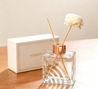 Flacon en verre vide de 100 ml de haute qualité pour diffuseur à bâtonnets d'arômes, idéal pour les huiles essentielles et les liquides d'aromathérapie