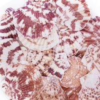Yommy Décoration d'intérieur 300g Coquilles Saint-Jacques naturelles en forme de fleur Objets décoratifs Design tendance Modèle YM2089 Fabriqué en Chine
