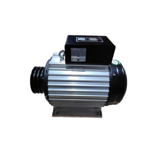 Générateur sans balais à aimants permanents à basse vitesse personnalisable de 20 kW à haute efficacité pour applications industrielles IP54 H - Product Image 3