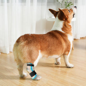 Attelle thermoplastique orthopédique malléable pour matériaux de mémoire de chat de chien - Product Image 4