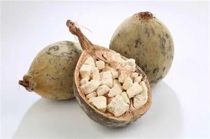 Extracto de Fruta de Baobab en Polvo (Cultivo Artificial) Rico en Antioxidantes para el Apoyo Inmunológico y la Salud Diaria - Product Image 4