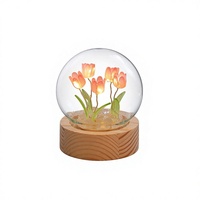 Lanterne de nuit moderne en verre en forme de tulipe, faite à la main, DIY, avec LED, base en bois, batterie amovible, lumière blanche neutre 4100K, pour la maison