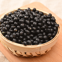 Vente en gros de graines de soja noires non-OGM, haricots noirs à germe jaune pour le tofu et le lait de soja