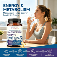 Gélules de magnésium premium 500 mg (magnésium élémentaire) avec mélange synergique de vitamine B6 et de zinc pour le système nerveux, l'équilibre de l'humeur et la densité osseuse
