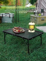 Table de camping pliante portable avec plateau en maille métallique, table de pique-nique légère, bureau pliable pour barbecue, randonnée, voyage, fête en plein air