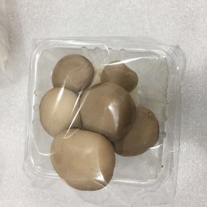 Precio de Exportación de China de Champiñones Frescos <span class=keywords><strong>King</strong></span> Oyster (<span class=keywords><strong>King</strong></span> Trumpet) - Product Image 3
