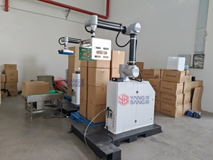 Yangbang giá thấp <span class=keywords><strong>Robot</strong></span> <span class=keywords><strong>palletizing</strong></span> Máy <span class=keywords><strong>Robot</strong></span> palletizer tự động <span class=keywords><strong>Robot</strong></span> <span class=keywords><strong>palletizing</strong></span> hệ thống - Product Image 3