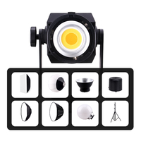 Lumière vidéo de studio professionnelle 300W COB avec télécommande et monture Bowens, éclairage d'appoint pour la photographie, le streaming en direct et la prise de vue vidéo