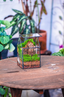 Kit Terarium Tanaman Udara Ramah Lingkungan Modern dengan Vas Kaca dan Bola Kaca untuk Penggunaan di Meja Rumah