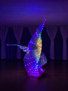 Ali Dorate Luminose a LED per Danza del Ventre |   Mantello Arcobaleno con Perline in 5 Colori per Spettacoli Teatrali e Sfilate - Product Image 2