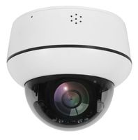 2.5 Inch IP PTZ Security Camera 4X Optical Zoom AI Human Vehicle Detection Tracking 30M IR Two Way Audio TF Card 512GB