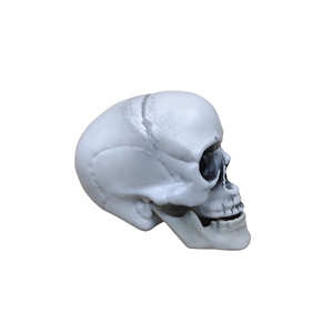 Mini <span class=keywords><strong>Skull</strong></span> Head Halloween <span class=keywords><strong>Skull</strong></span> Trang Trí Trang Trí Điêu Khắc Quà Tặng Cho Halloween Nhựa Mô Phỏng Hộp Sọ - Product Image 2