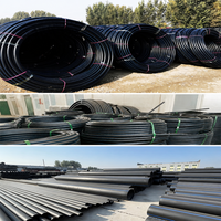 Tuyau d'irrigation agricole en PEHD noir en polyéthylène pour l'installation d'irrigation extérieure des terres agricoles et de l'horticulture (vente en gros)