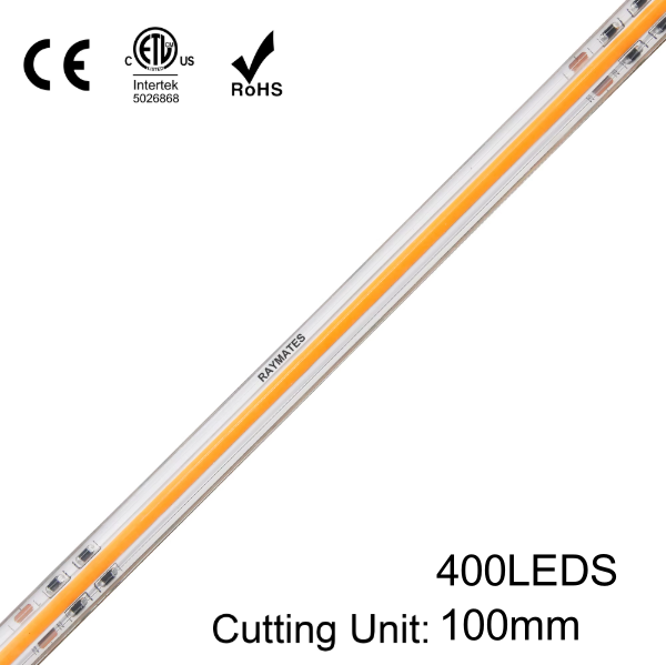 UL ETL High Voltage Outdoor Led Strips 110v Led Strip Lights IP67 Waterproof 4020K Power Strips 12MM 11.2w ODM OEM