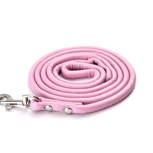 Wasserdichter Collier Pour Chien Langlebiger Corde Pour Chien Longe Chien Etanche - Product Image 5