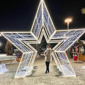 <b>LED</b> IP65 <b>Star</b> Arch Decoration <b>Light</b> for Christmas Outdoor Garden Festival Event and Commercial Display Lighting - Product Image 1