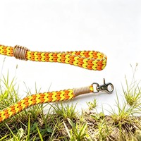 Laisse pour chien en paracorde tressée à la main, légère, personnalisée, avec motif nœud d'amour double face, vente en gros directe usine