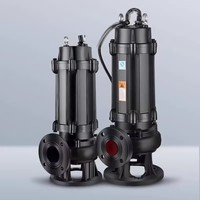 Pompe à eaux usées basse pression 220V, structure en fonte et antidéflagrante, applicable au contrôle des inondations des sous-sols