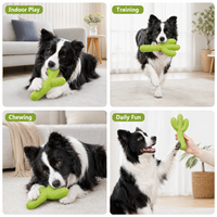 Jouet pour chien en caoutchouc Cactus de la collection Brand, avec design multi-grip de 19,6 cm pour soulager l'ennui et l'exercice oral quotidien
