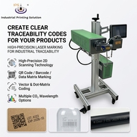 Système de marquage laser CO2 haute vitesse pour l'impression de codes QR et le marquage de la date de péremption par lots, vitesse de 189 m/min