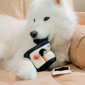 Yüksek Kaliteli Peluş Kamera Şeklinde Evcil Hayvan Oyuncağı, Ses Çıkaran Dayanıklı Köpek Çiğneme Oyuncağı, İç Mekan İnteraktif Oyun, Zihinsel Stimülasyon, Can Sıkıntısı Giderici - Product Image 2