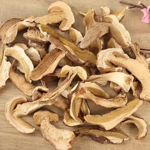 Porcini Cep Boletus - Product Image 2