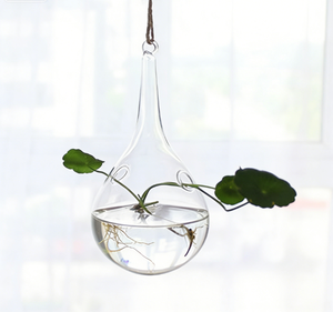 Vase suspendu <span class=keywords><strong>en</strong></span> <span class=keywords><strong>verre</strong></span> transparent créatif, grande goutte d'eau, <span class=keywords><strong>bouteille</strong></span> suspendue pour jardinage d'intérieur, décoration de la maison, <span class=keywords><strong>bouteille</strong></span> pour plantes - Product Image 1