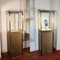 Vitrine de présentation de bijoux de luxe en verre trempé et métal Sundo, avec éclairage LED, logo personnalisé et options dorées