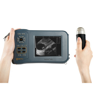 FarmScan Cochon Mouton Chèvre Échographe Systèmes Échographe Portable pour la <span class=keywords><strong>grossesse</strong></span> diagnostics - Product Image 2