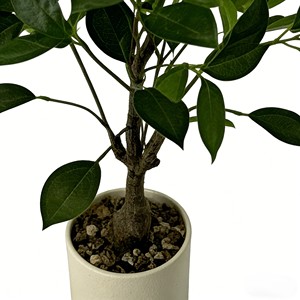 <b>Artificial</b> Banyan <b>Tree</b> Highly realistic <b>Artificial</b> Banyan <b>Tree</b> - Product Image 6