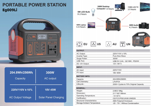 สถานีไฟฟ้าพกพา 300W 256Wh ชาร์จด้วยพลังงานแสงอาทิตย์ พร้อมเต้ารับ AC และพอร์ต USB หลายช่อง สำหรับตั้งแคมป์ กิจกรรมกลางแจ้ง และใช้ในบ้าน รุ่น Eg009Li ความจุสูง - Product Image 6