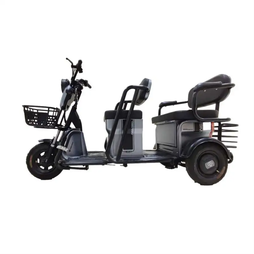 Fashion Royal Brand Mini Three Dumper Long Container Cargo Lift Truck Scooter Motor Tricycle 3 Wheel Electric