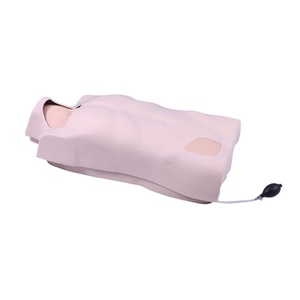 Maniquí de Torso de Inyección Venosa <span class=keywords><strong>Central</strong></span> de PVC DARHMMY, Modelo Humano de Tamaño Real, Duradero, para Entrenamiento Clínico y Ciencias Médicas - Product Image 1
