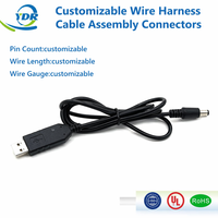 Kabel USB 2.0 DC5521 5V ke 12V Step Up Boost Harness Berlapis Timah Tembaga 3A Kabel Pengisi Daya Adaptor Mobil ISO9001