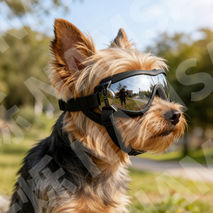 Lunettes de soleil pour chien, protection UV, anti-poussière, accessoires pour petits chiens et chats, utilisation en extérieur, plastique durable, forme arrondie, toutes saisons - Product Image 1
