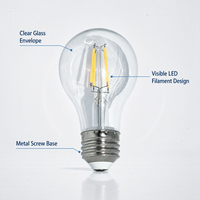 Ampoule à filament LED A60 personnalisée, résistante aux hautes températures, anti-choc, lampe vintage avec couleur de filament réglable