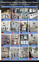 NOUVEAU Système de Stockage d'Énergie Domestique Mobile Mural 32KW LiFePO4 51.2V 32kWh 30kWh 628Ah 11000 Cycles Batterie Lithium-Ion