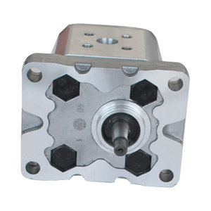 Bibo - Bomba de Engranajes Hidráulica de Acero Inoxidable, Bombas de Engranajes Rotativas, Categoría de Producto - Product Image 2
